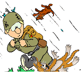 raining cats and dogs again!
